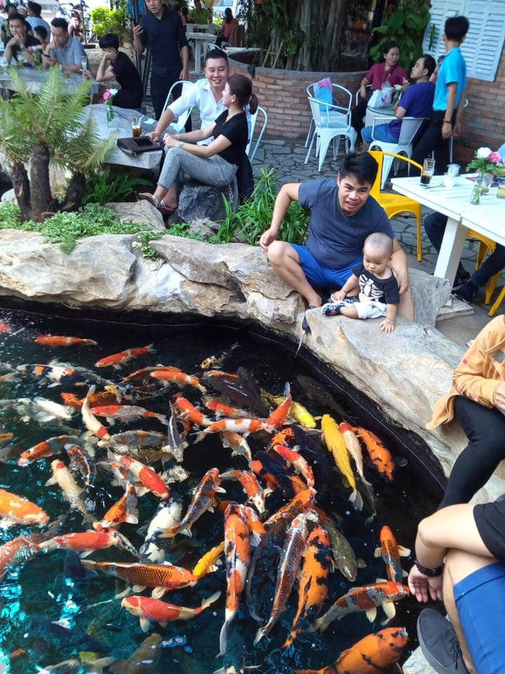 Top 4 quán cà phê cá koi thu hút khách nhất tại Bà Rịa - Vũng Tàu
