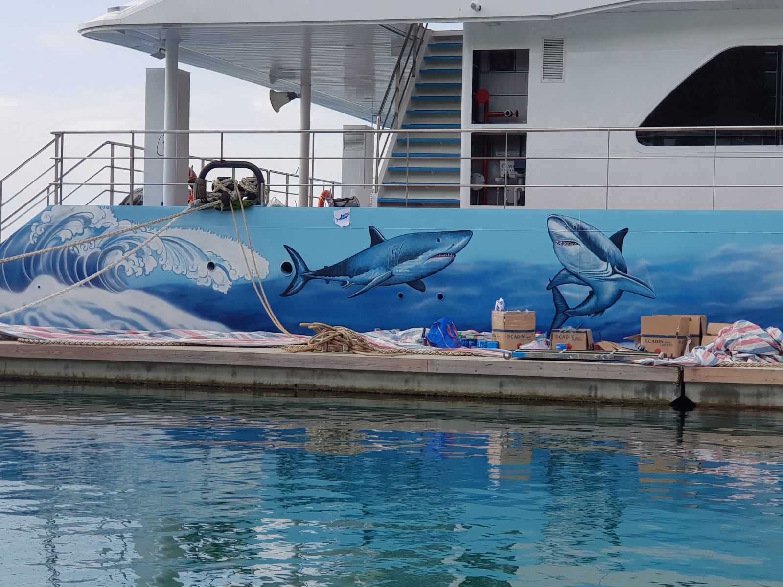vẽ tranh tàu du lịch biển Tp Nha Trang