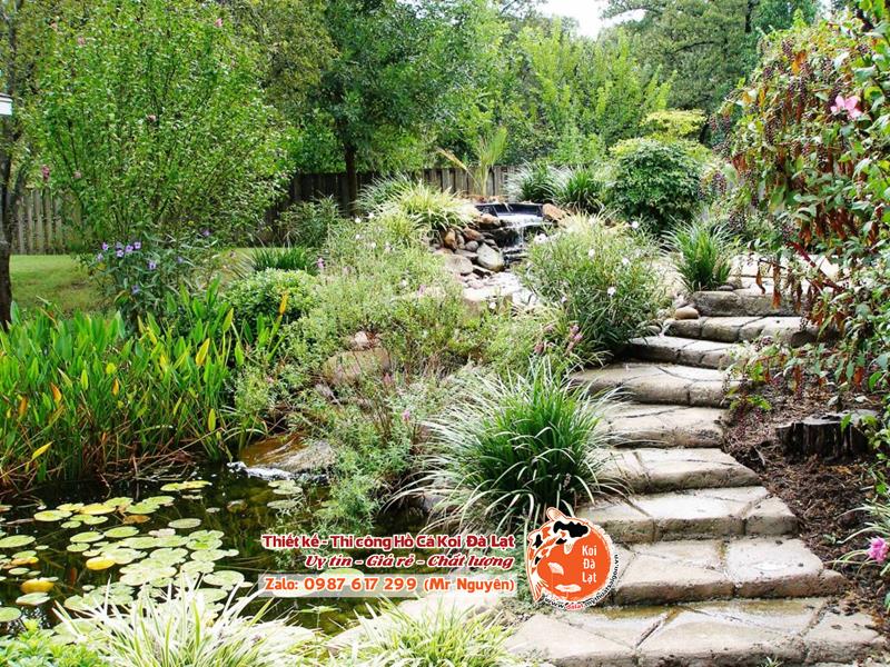 Tận hưởng Vẻ đẹp Tuyệt đẹp của Khu Vườn Nước Sân Sau Của Riêng Bạn