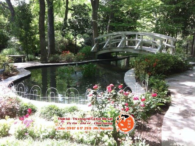 Tận hưởng Vẻ đẹp Tuyệt đẹp của Khu Vườn Nước Sân Sau Của Riêng Bạn