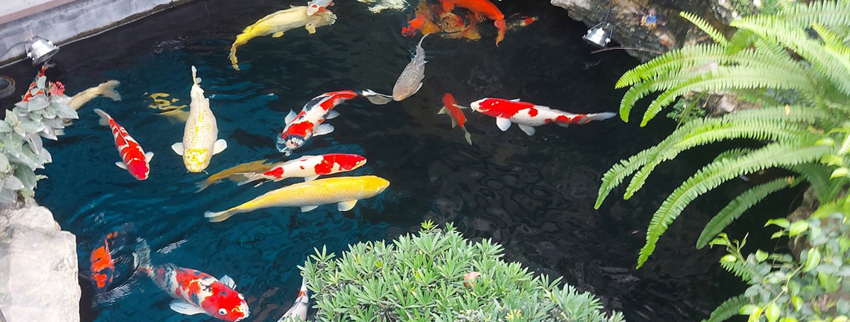 Họa sĩ điêu khắc sài gòn